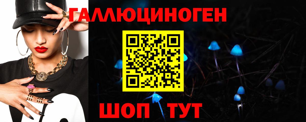 Галлюциногенные грибы Psilocybe  Вход с VPN  закладка  Оренбург 