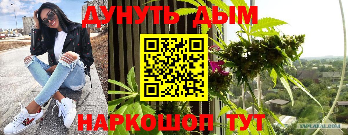 Каннабис гибрид Оренбург